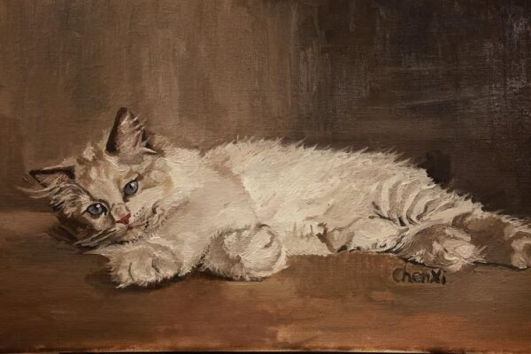 Portrait of a Cat