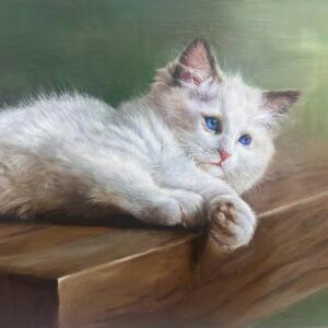 Portrait of a Cat