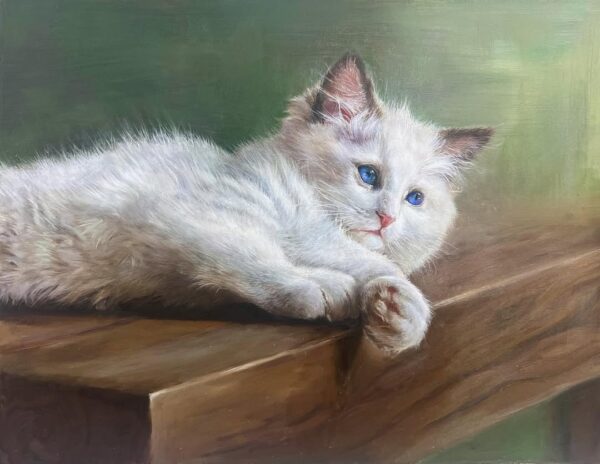 Portrait of a Cat
