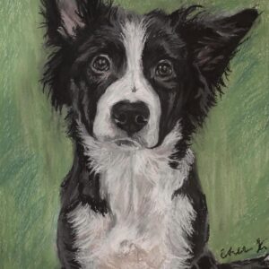 Portrait of a Dog