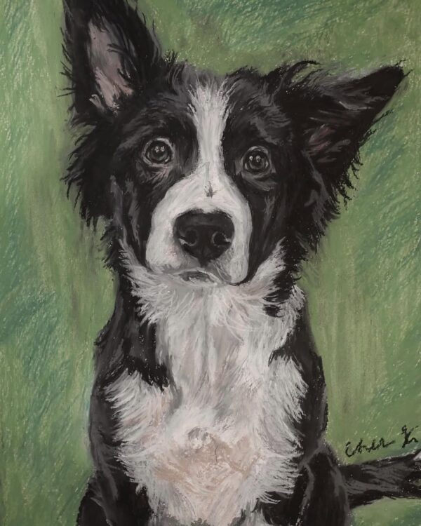 Portrait of a Dog