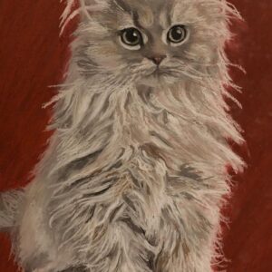 Portrait of a Cat