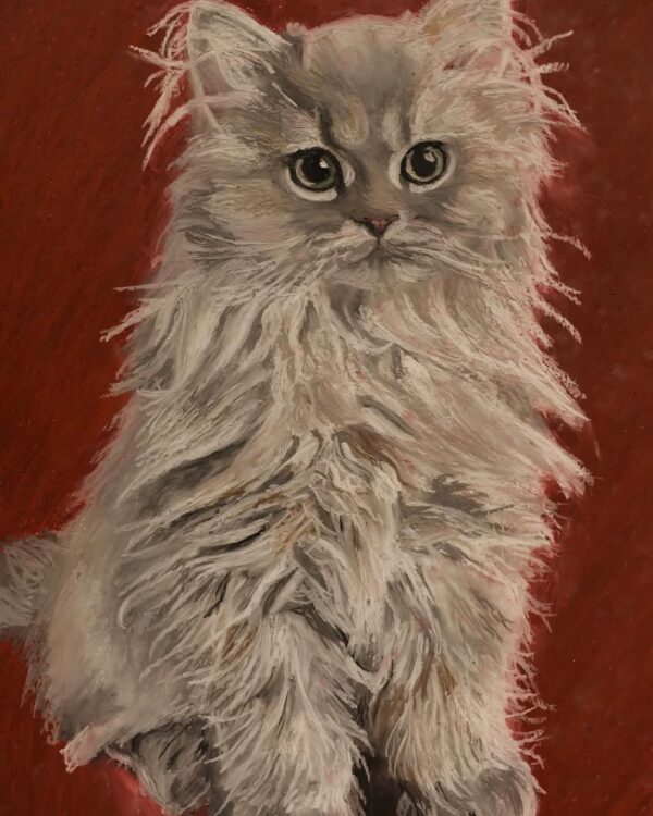 Portrait of a Cat
