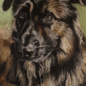 Portrait of a Dog