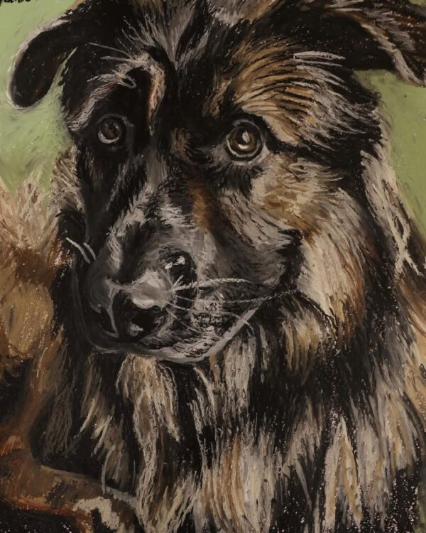 Portrait of a Dog