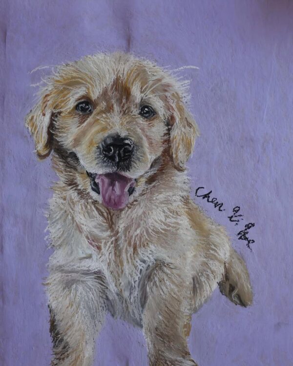 Portrait of a Dog