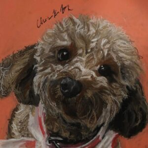 Portrait of a Dog