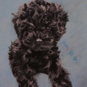 Portrait of a Dog