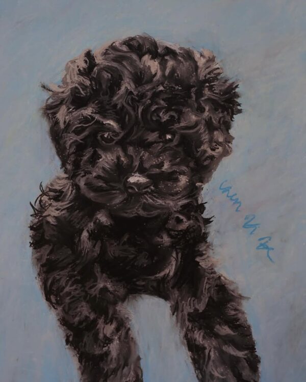 Portrait of a Dog