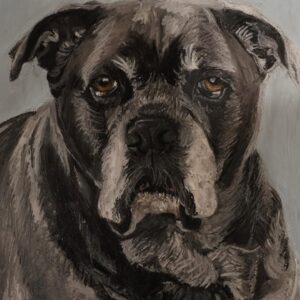Portrait of a Dog