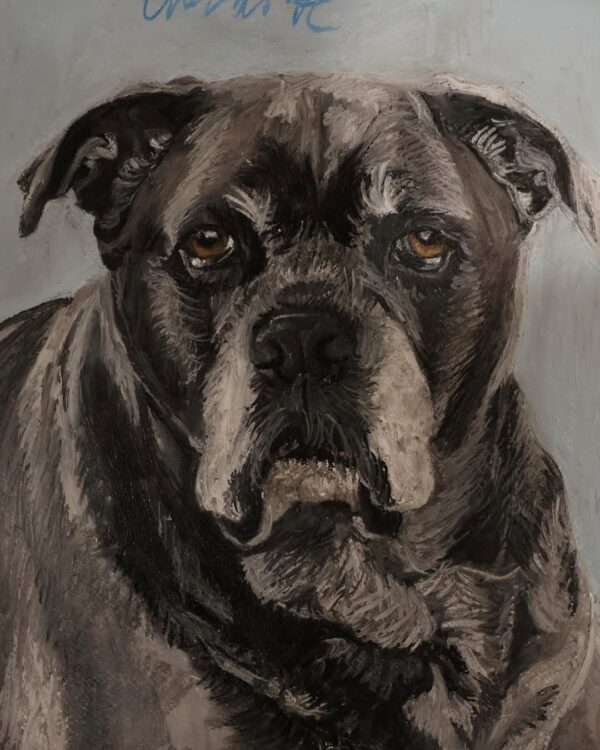 Portrait of a Dog